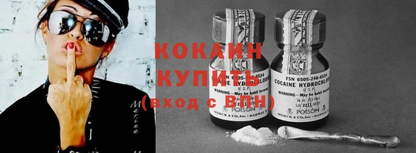 шишки Богородск