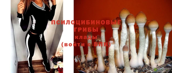 шишки Богородск