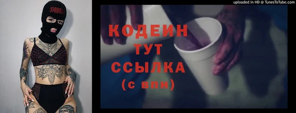 шишки Богородск