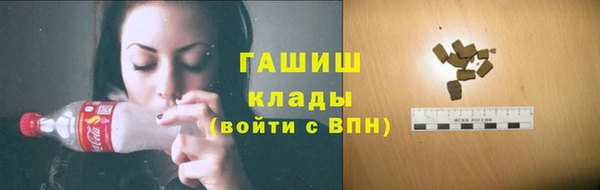 шишки Богородск
