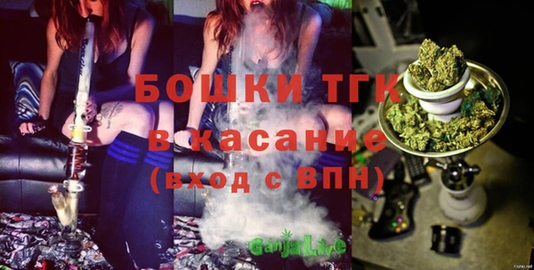 шишки Богородск
