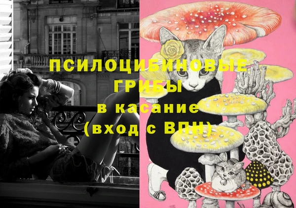 шишки Богородск
