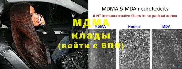 шишки Богородск