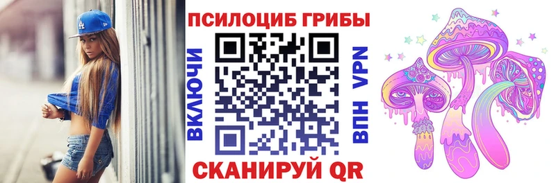 Купить  Сальск  Галлюциногенные грибы Cubensis 